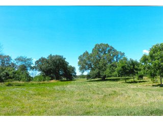 21.868+/- Acres. 
Per the owner, there are 290 walnut trees that are approximately 10 years old.
The Little Monon Creek runs through this property.

There is a cemetery on this property and they have ingress and egress access to the property. - Recreatonal & Investment & Possible Building Site